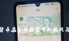数字货币在金砖国家中的